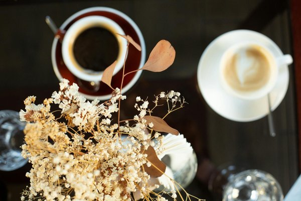 Votre guide d'achat pour une cuisine flexitarienne